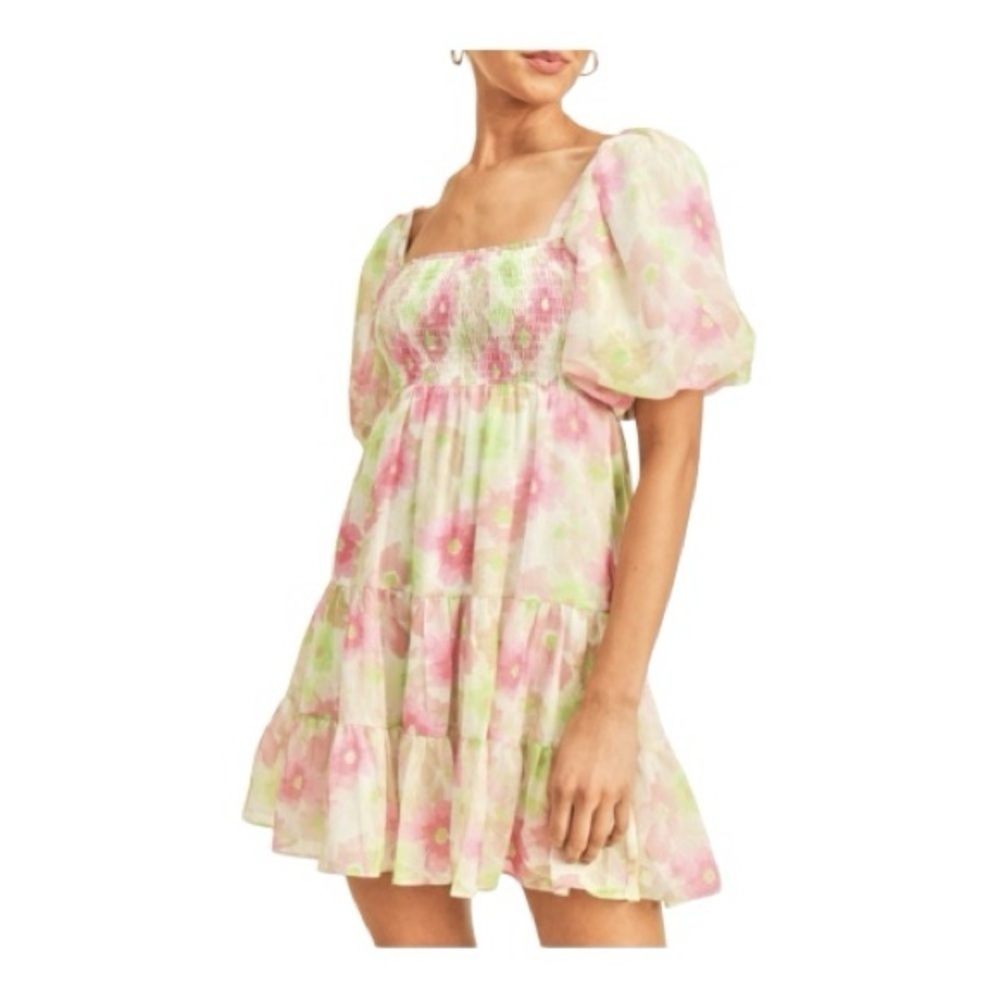 Reset by Jane NWT Watermelon Floral Balloon Sleeve Mini Dress M - Picture 2 of 10